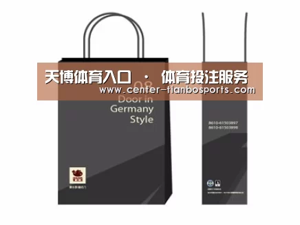 项目名称十四