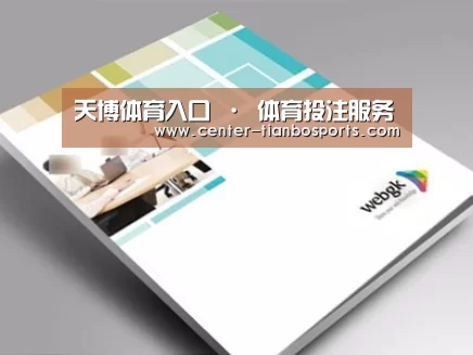 项目名称九