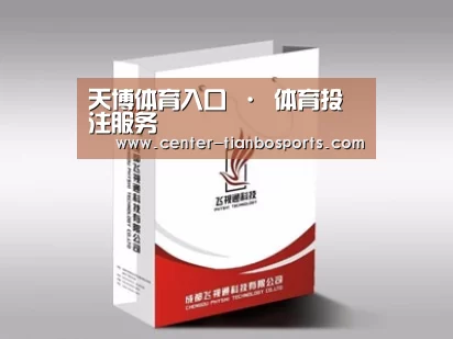 项目名称十三