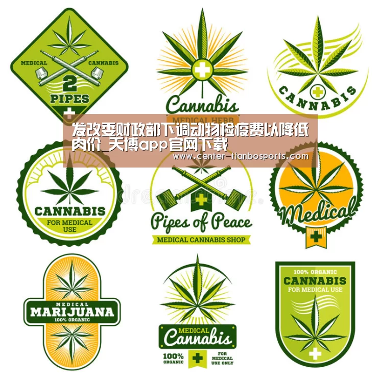天博赛事