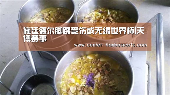 施廷德尔脚踝受伤或无缘世界杯|天博赛事(图2) 天博体育app最新版本