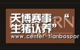 天博赛事