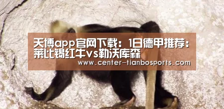 天博app官网下载:1日德甲推荐:莱比锡红牛vs勒沃库森(图2) 天博app官网下载